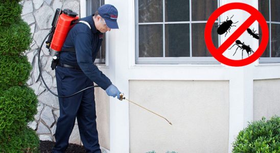 Güney Tahtakurusu İlaçlama böcek ilaçlama ve haşere kontrolü — ilaclama-tr.com